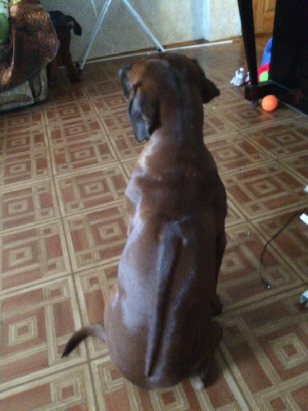 image-0-02-01-e6d24f1097c21128683c72456254bd7ff1