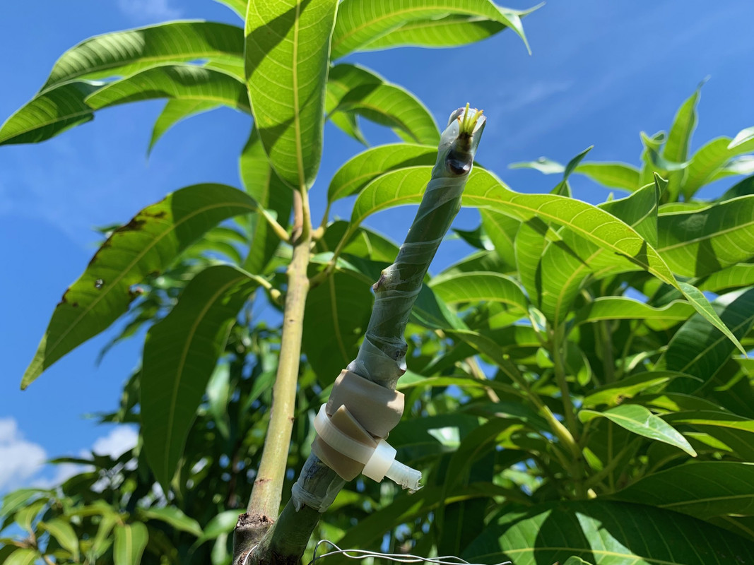 0F72B888-83B4-4662-92A6-04C72C173A4E