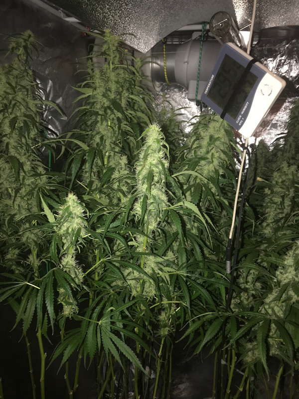 80238575-5EA8-4F8C-A9BF-250AA81DF837