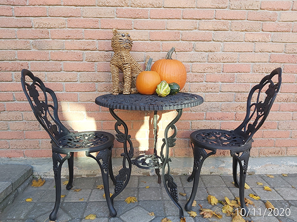 [Image: IMG-20201110-151207.jpg]