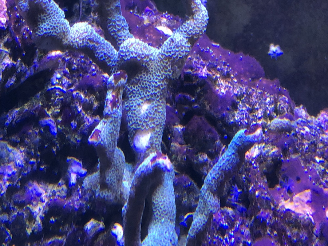 858C7057-580E-4918-9CA9-F01790C59E10