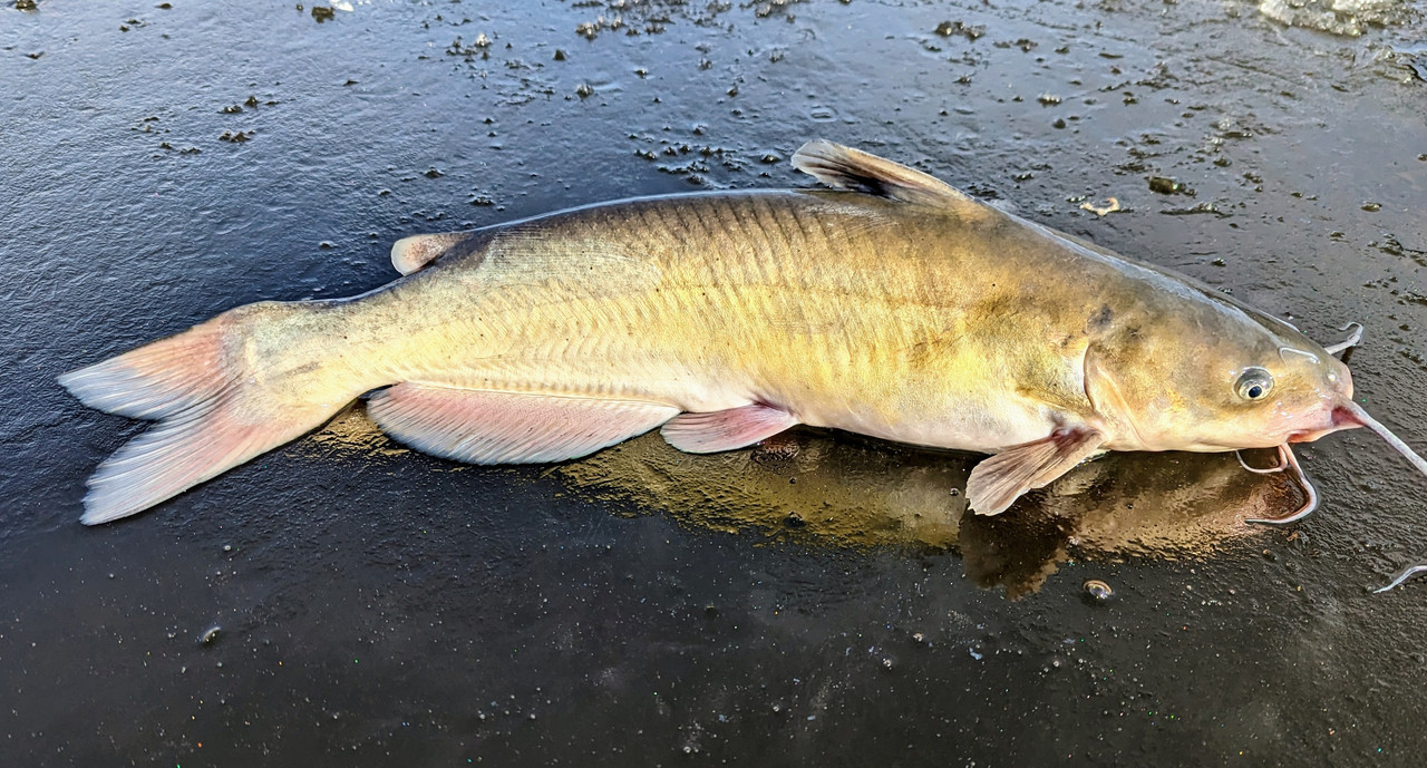 PXL_20221228_175937131