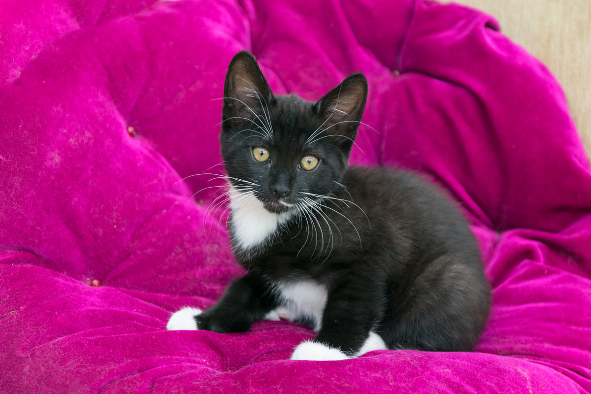 ?омка и Марго-22