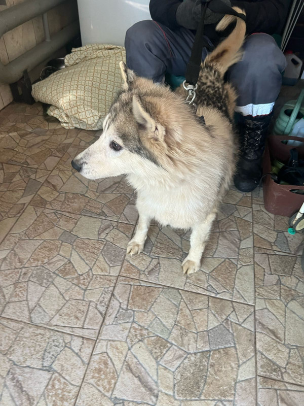 WhatsApp Image 2024-02-12 at 22.44.38 (1)