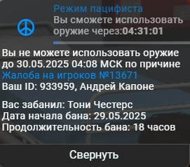 изображение_2025-05-29_233845604