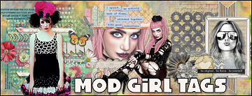 mgt link