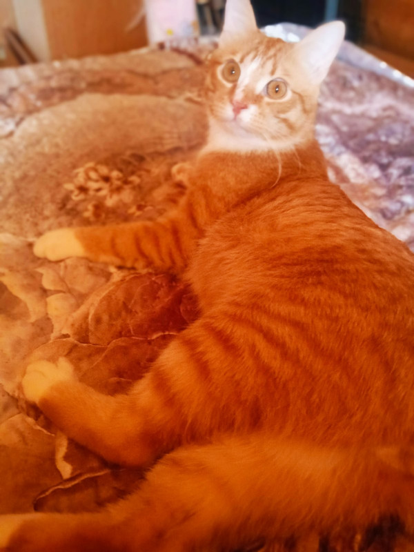 IMG f4bf7b3718a5d342e330f5bbbbaad2b0 V