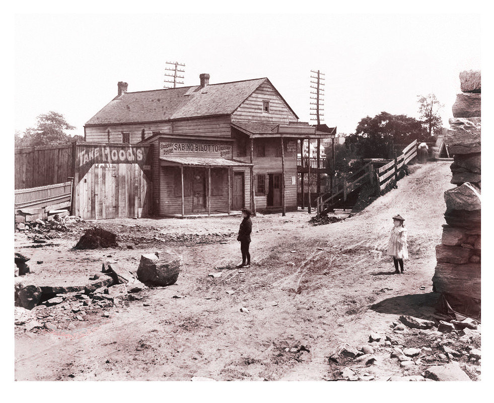 blacknwhite-thebronx1897.jpg