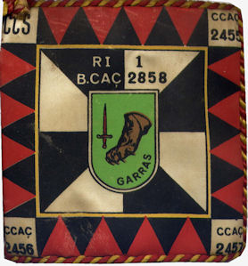 BCac2858