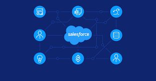 Salesforce Development : The Live Way