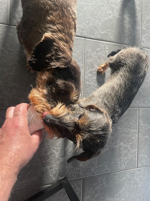 [Image: IMG-6067.jpg]