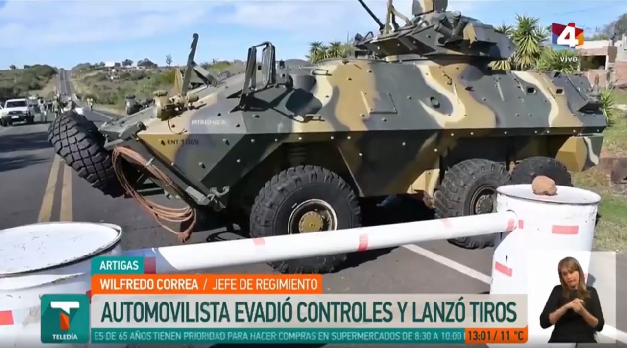 [Imagen: mowag.png]