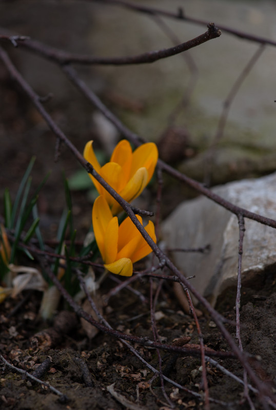 IMG-5cfb1aca486b9795a502ad7a8b8cec22-V