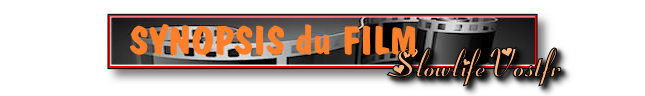 synopsis-vostfr.png