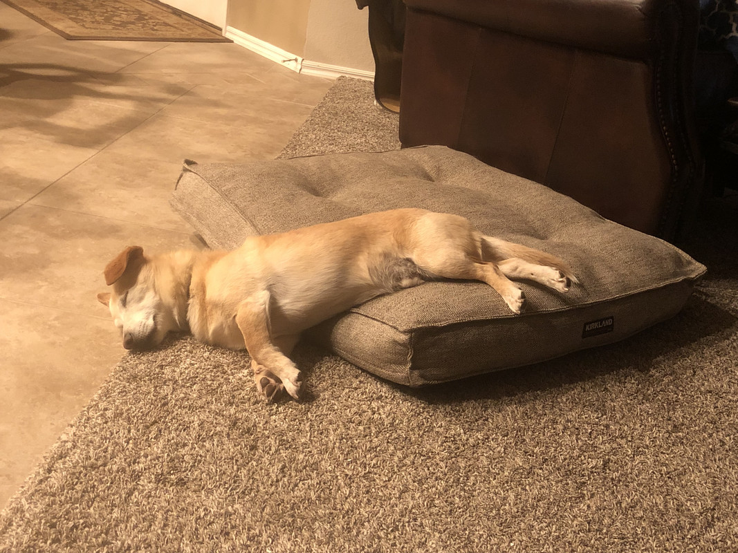 603BCF47-E5F2-47B6-8989-5785A1D94800