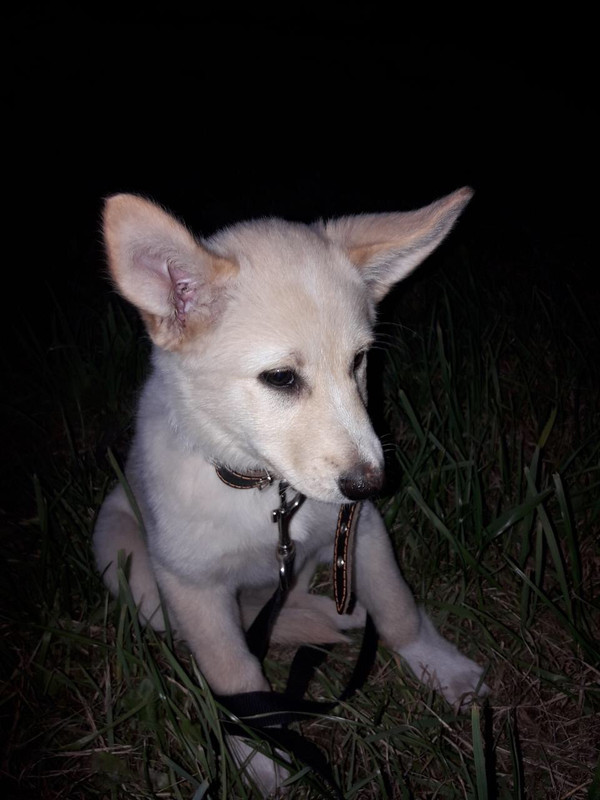 2E95A684-A246-4ADB-AC8D-D2D673848C41