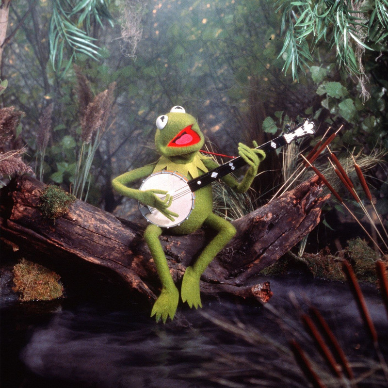 The-Muppet-Movie-The-Rainbow-Connection.jpg