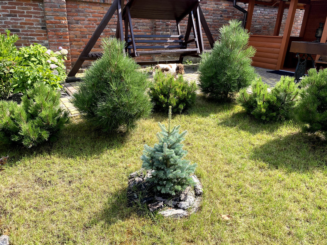 3111EF1F-D5C2-444A-A260-506818455704