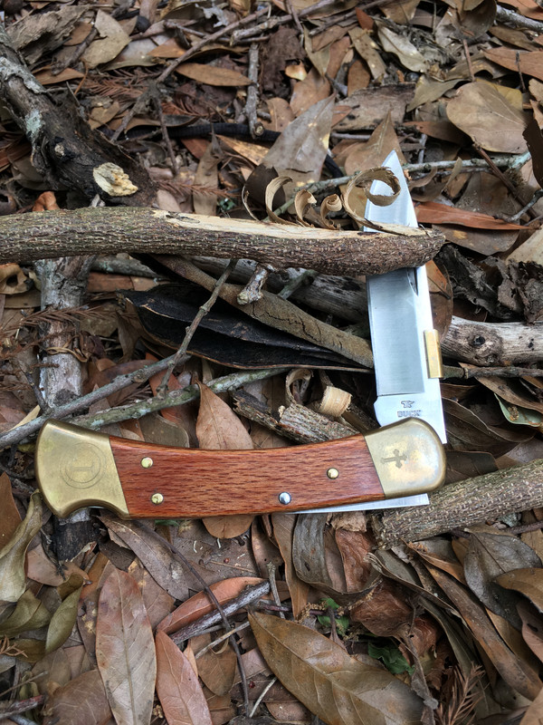 2B099E00-9397-480B-9E2F-196F1B0BD853