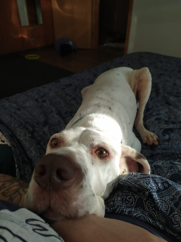 60A2E379-264B-4B6F-854A-4ABC0DBA646F