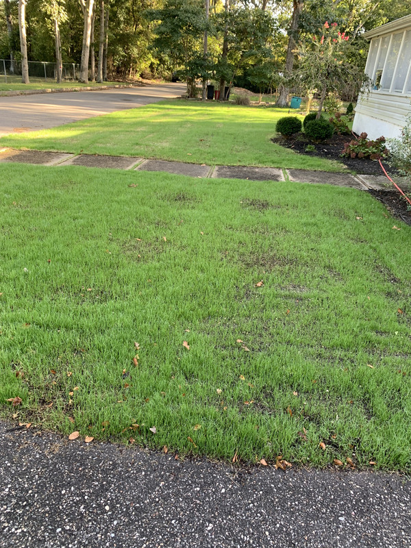 94AB4F0B-473A-4468-8EB5-2E9CB540D8BE