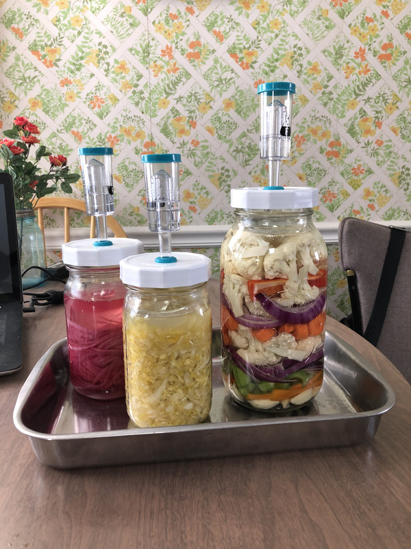 Fermentation 01