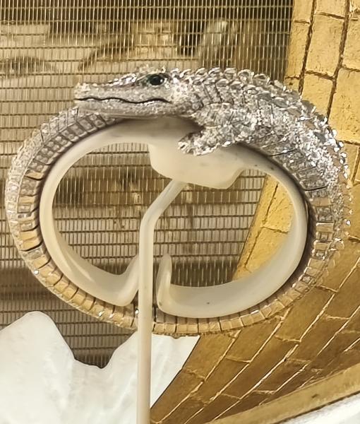 Roma: Villa Farnesina, Bernini&Barberini, Detroit Museum - Roma y Nápoles: Bernini, Giorgione y mucho más. (323)