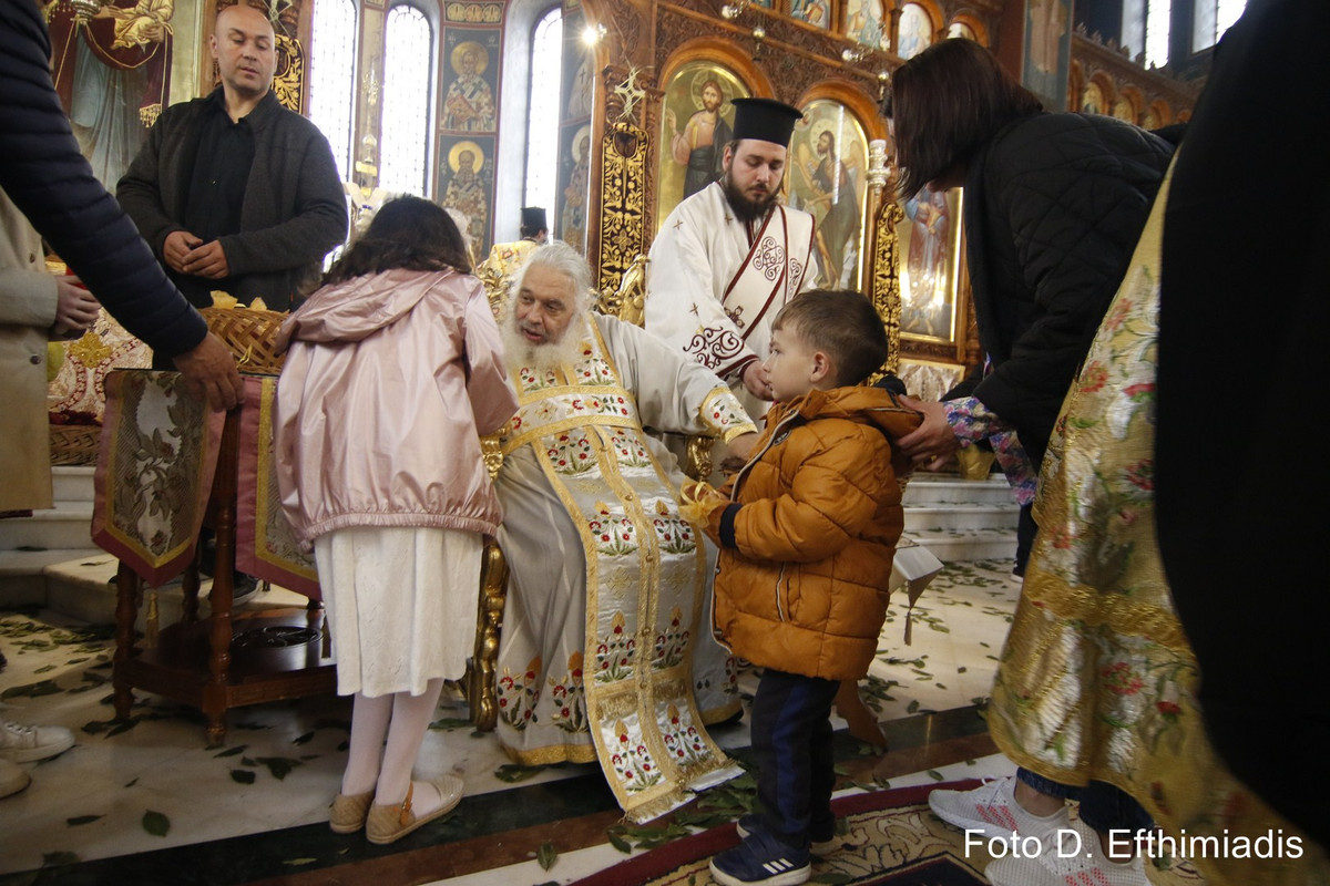 _7D20768 (Αντιγραφή)