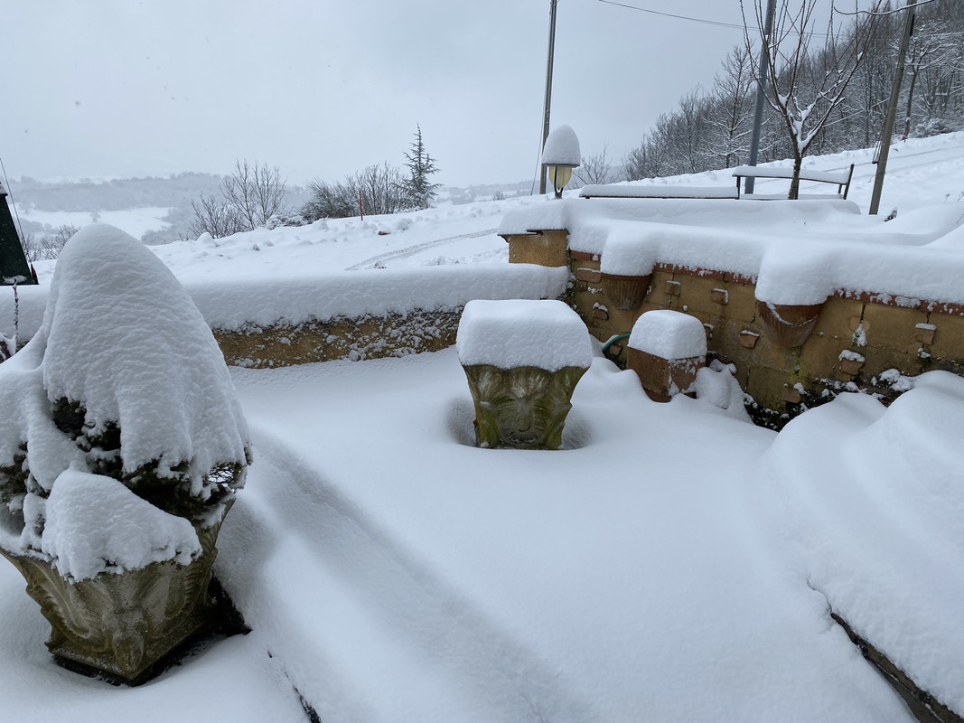 BE6ACDB9-EEEE-4459-8B35-4A24D2408434