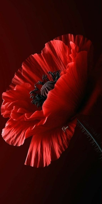 8xj-Nd1q-GAKPDq-P-Zk-PWv62Ug0JKhxuf-VUA14J8jnt-DXNhizmc-QEIJPAQCDm-UHz24