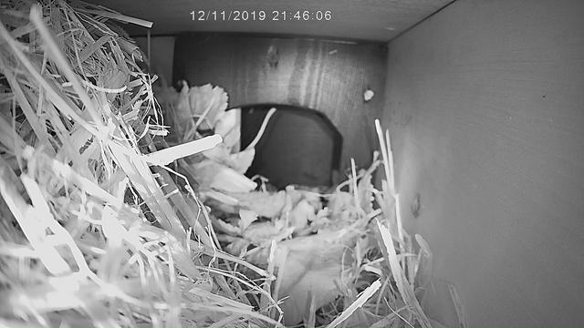 56E18BE5-201F-45B2-A8A5-3D1DA650EFC8