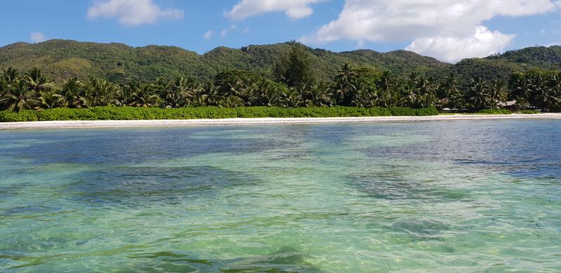 DÍA 3:  PRASLIN – CURIEUSE ISLAND – SAINT PIERRE - Seychelles-2ª parte de nuestra luna de miel. Se puede pedir más? (11)