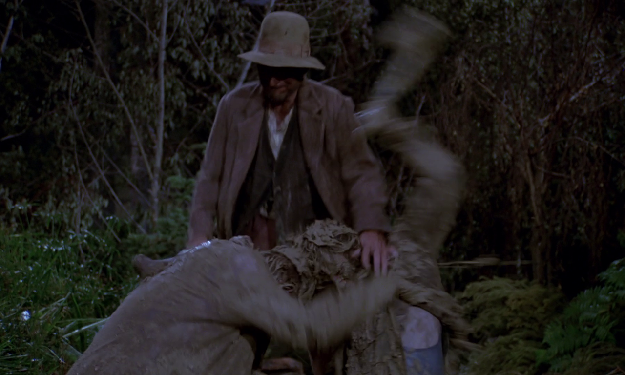 vlcsnap-2024-01-22-15h16m55s790