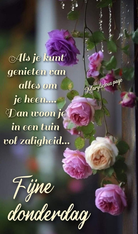 559a15275bab5b03b5bf9dd488a735ac