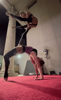 IMG-8024.gif