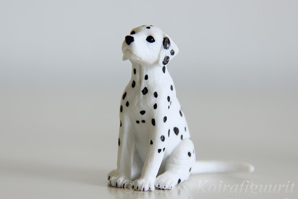 Mojö