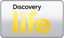 Discovery Life