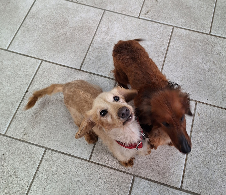 [Image: 20240426-104627.jpg]