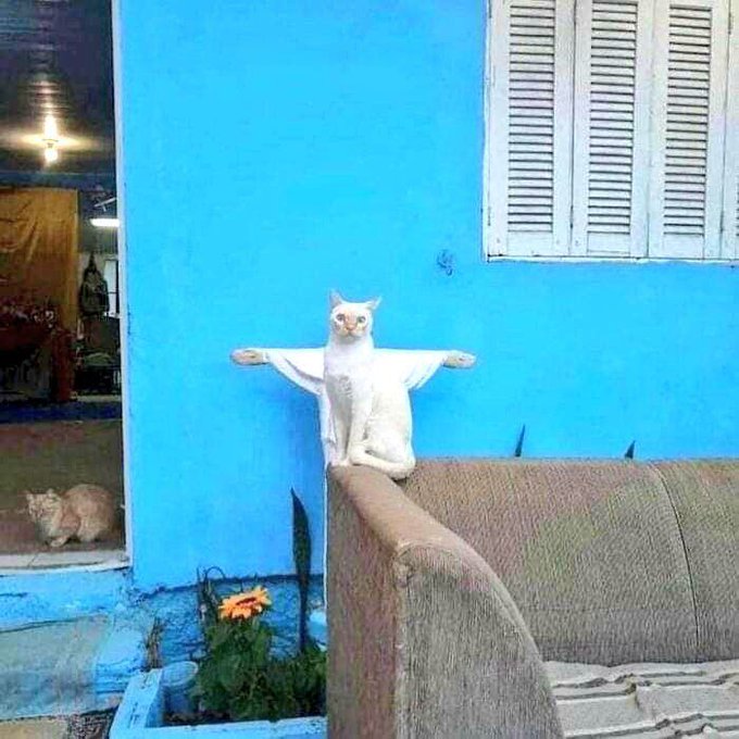 He is risen.