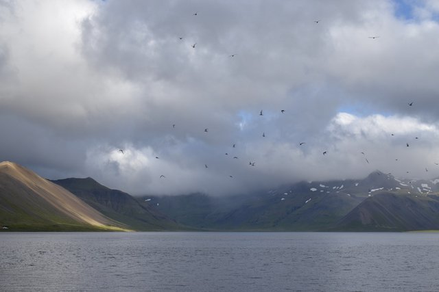 14 JULIO/22 ESTO SE ACABA :( ... DIA EN REYKJAVIK Y HASTA LA PROXIMA!!! - Islandia, 17 días..."sin sus noches" Julio 2022 (1)