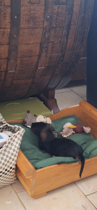 [Image: 20250717-114112.jpg]