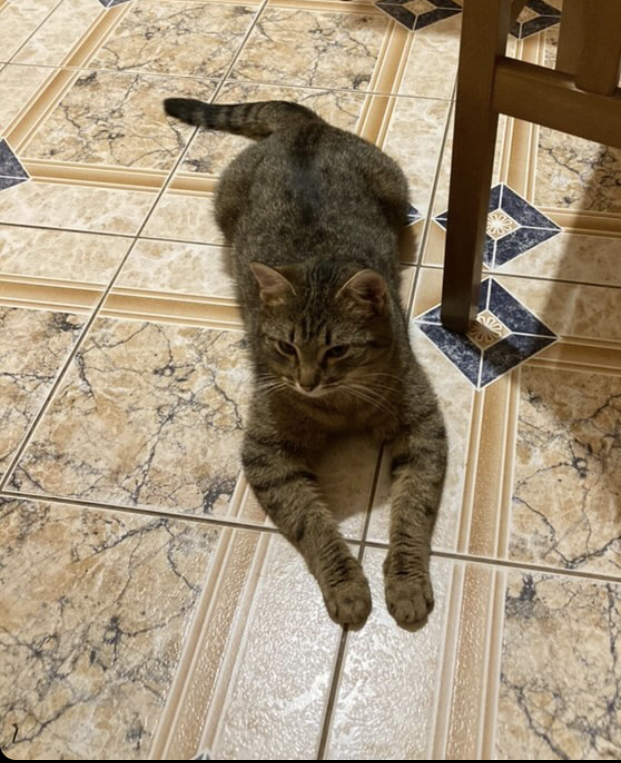 7D3F8F53-7596-46E8-81A0-2DABE48FFA0C