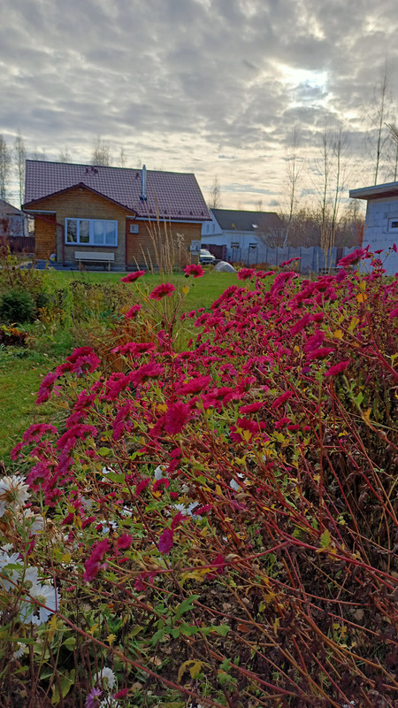 IMG20231107144403