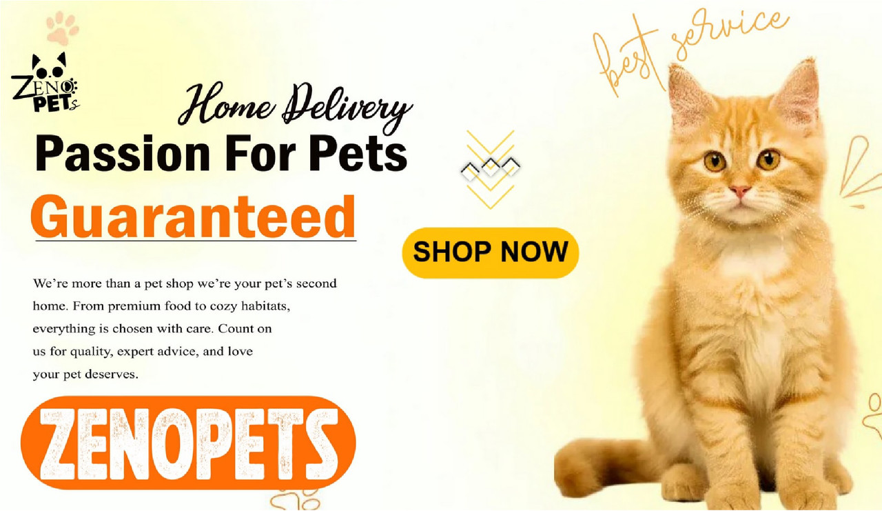 Zenopets Project
