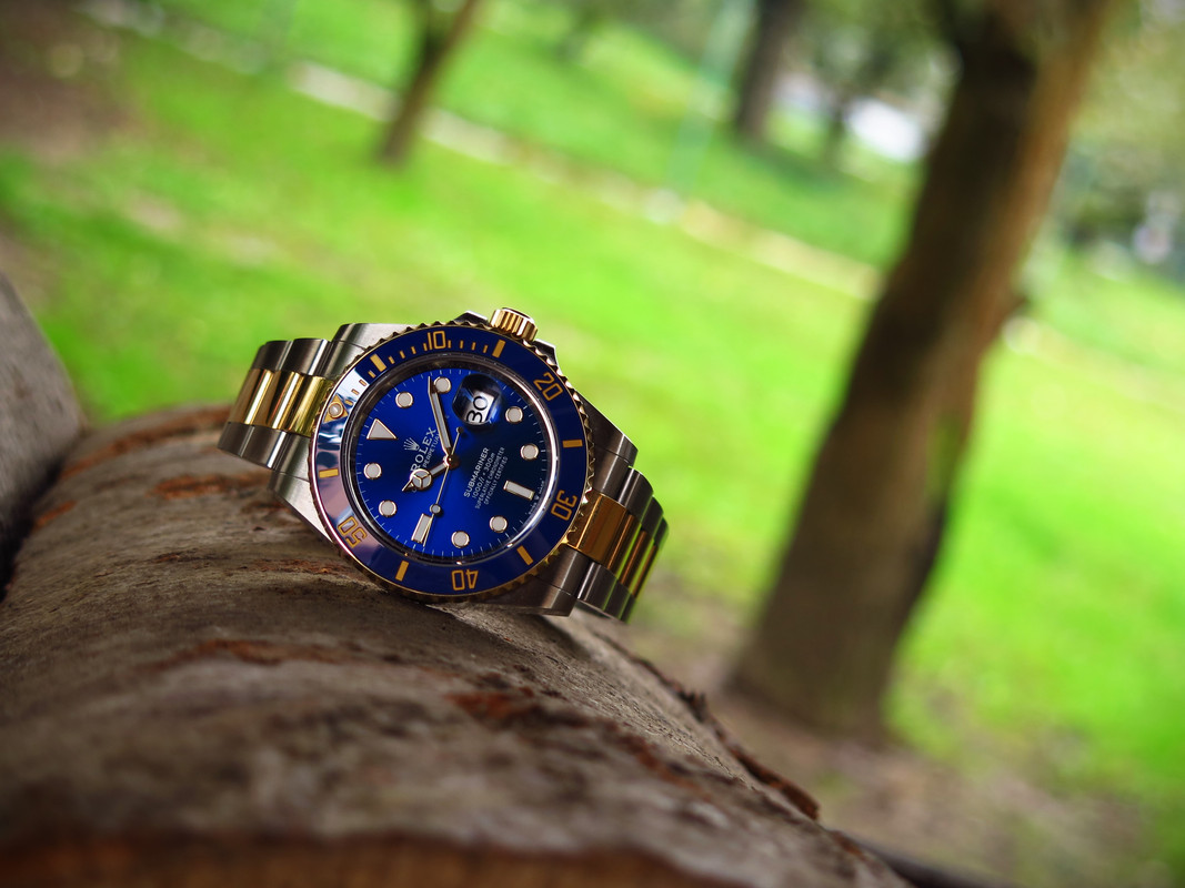 IMG-6400.jpg