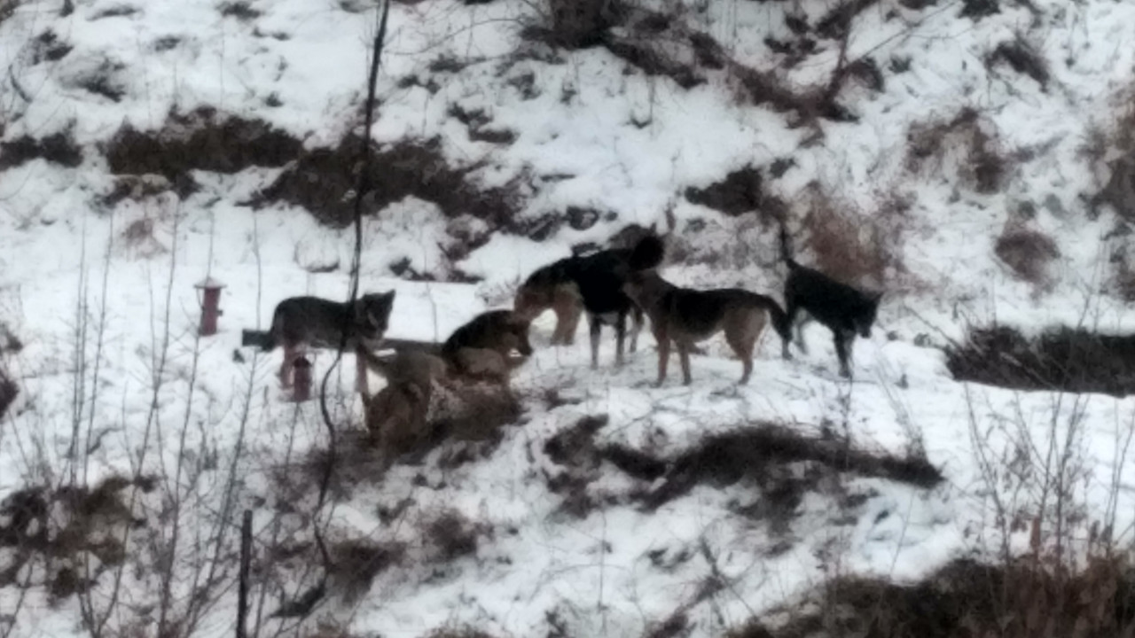 IMG_20191210_093648_HDR