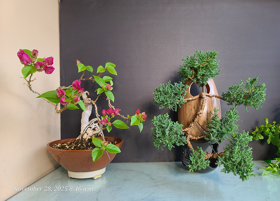 [Image: 20251128-084638.jpg]