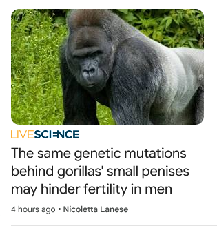 [Image: Screenshot-2024-05-21-at-19-18-49-Google-News.png]