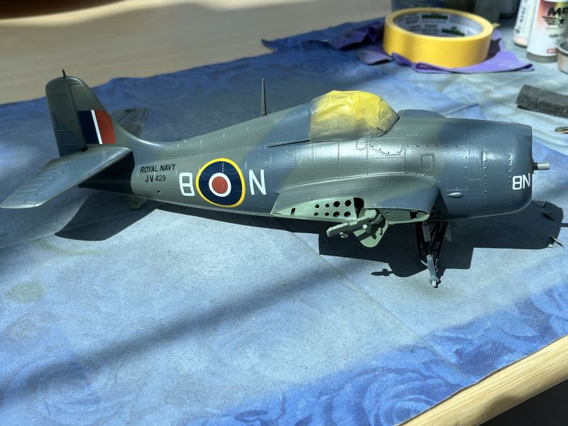 martlet3.jpg