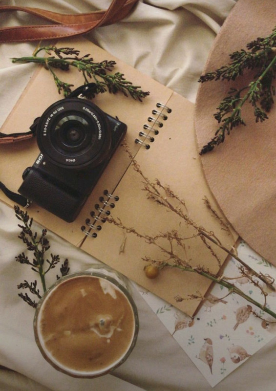 Screenshot_20240406_123656_Pinterest